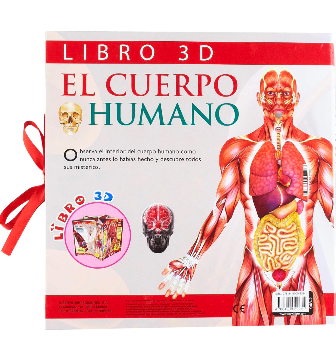 Explorando En 3D El Cuerpo Humano Fabulosos Pop Ups