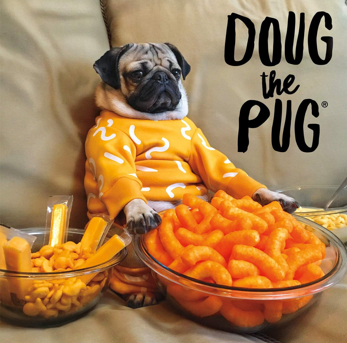 Doug the Pug - Rompecabezas de 300 Piezas Grandes, Buffalo Games