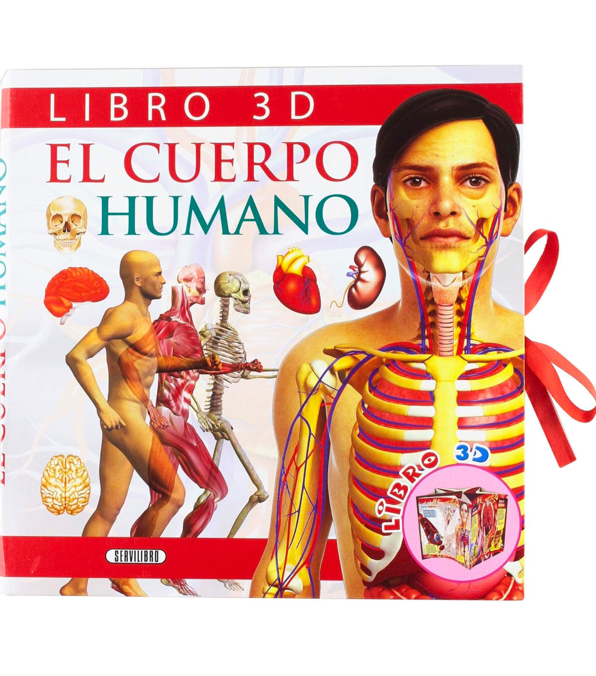 Explorando En 3D El Cuerpo Humano Fabulosos Pop Ups