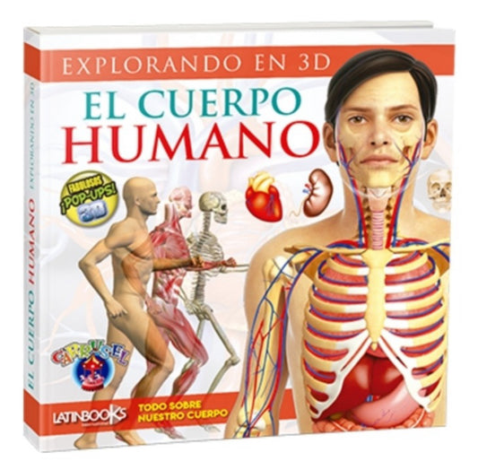 Explorando En 3D El Cuerpo Humano Fabulosos Pop Ups