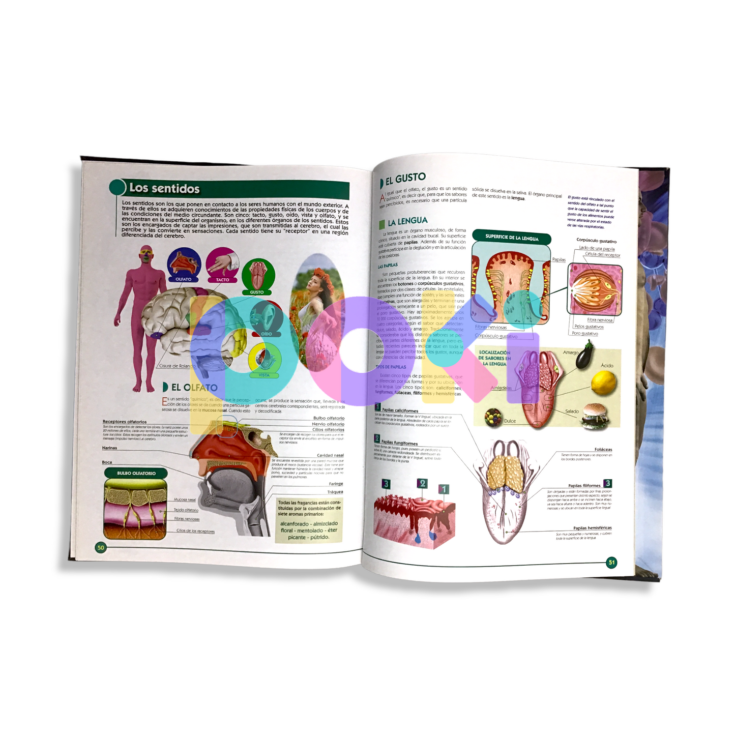 Atlas Visual del Cuerpo Humano, Anatomía y Funcionamiento de Nuestro Cuerpo.